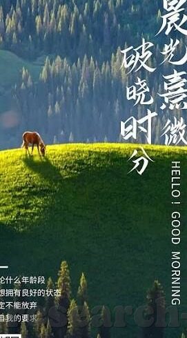 乐鱼体育全站在线下载-乐鱼体育全站在线下载，无缝体验体育赛事的便捷之道