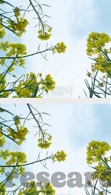 足球计算比分-足球比分预测，从玄学到科学，数据如何改写绿茵场的博弈规则？